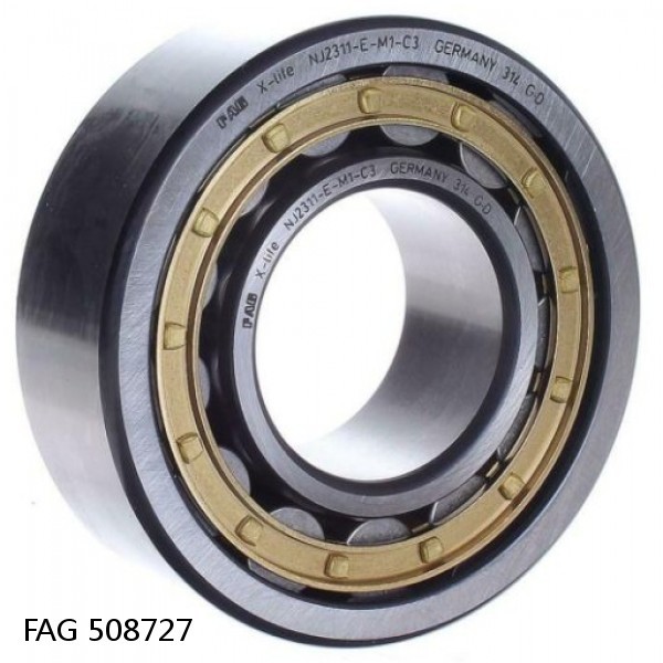 508727 FAG Cylindrical Roller Bearings