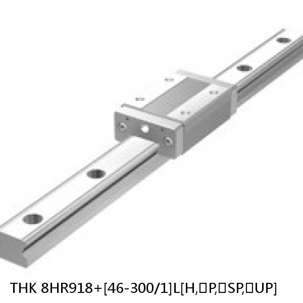 8HR918+[46-300/1]L[H,​P,​SP,​UP] THK Separated Linear Guide Side Rails Set Model HR