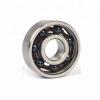 SKF Cylindrical Roller Bearing Special Bearing for Vibrating Screen Nj2320ecml-C4 #1 small image