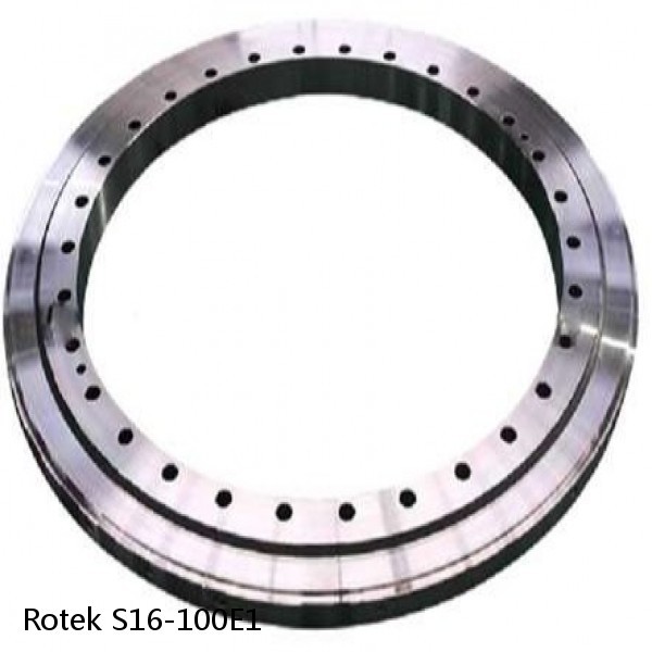S16-100E1 Rotek Slewing Ring Bearings #1 small image