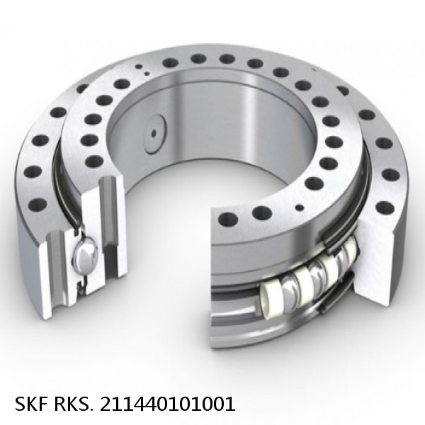 RKS. 211440101001 SKF Slewing Ring Bearings #1 small image