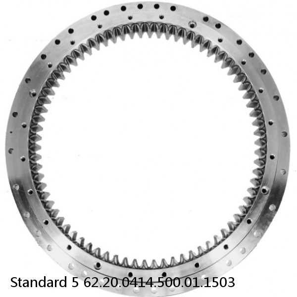 62.20.0414.500.01.1503 Standard 5 Slewing Ring Bearings #1 small image