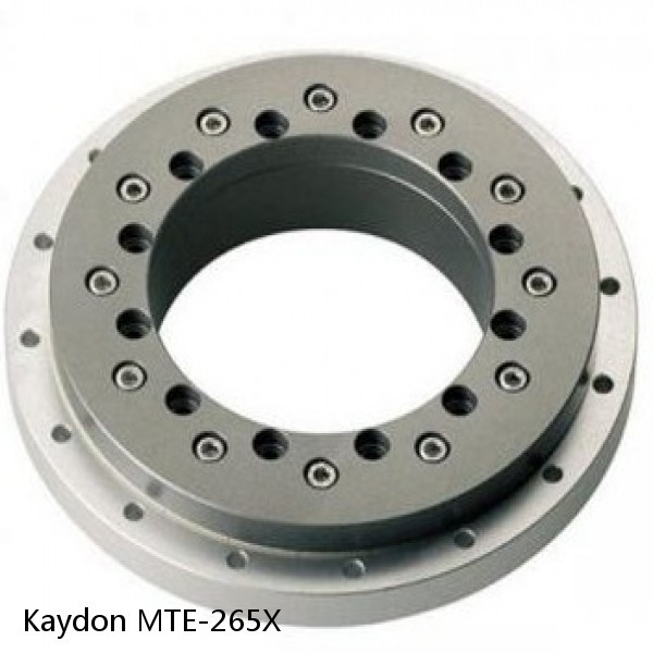 MTE-265X Kaydon Slewing Ring Bearings #1 small image