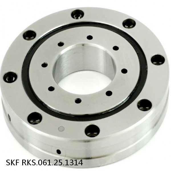 RKS.061.25.1314 SKF Slewing Ring Bearings #1 image