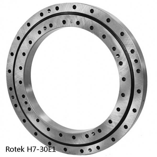 H7-30E1 Rotek Slewing Ring Bearings #1 image