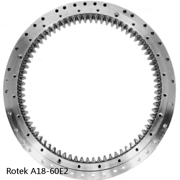 A18-60E2 Rotek Slewing Ring Bearings #1 image