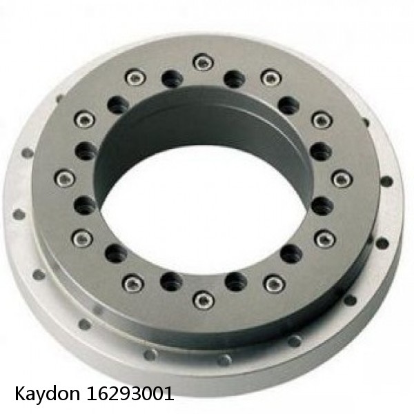 16293001 Kaydon Slewing Ring Bearings #1 image