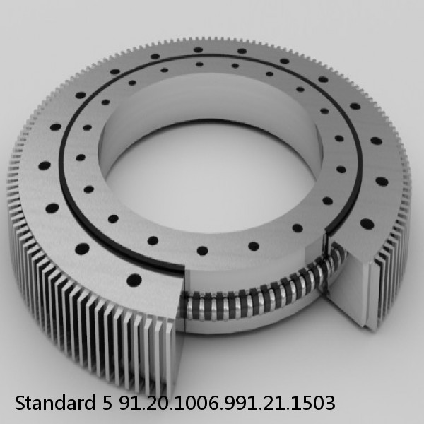 91.20.1006.991.21.1503 Standard 5 Slewing Ring Bearings #1 image